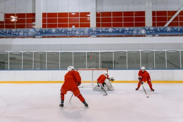 hockey goalie training
